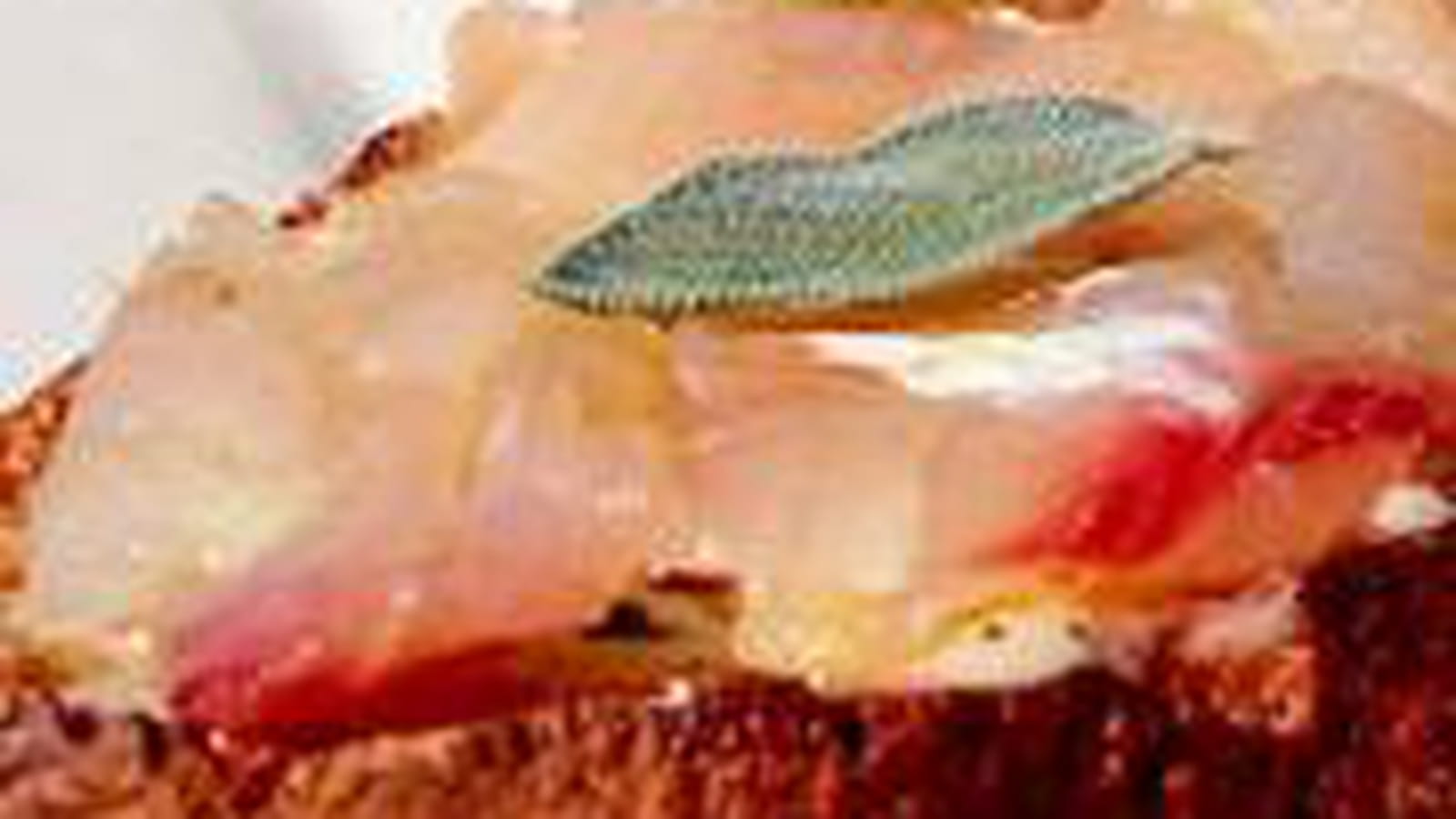 Tartine de tartare de mulet frotté à la sauge
