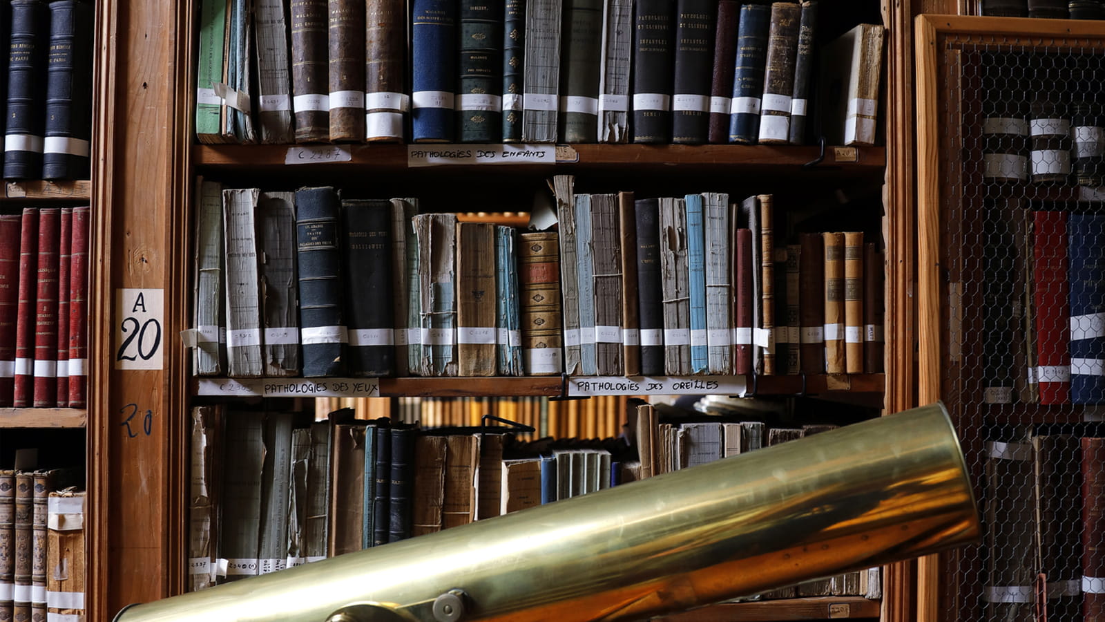 Bibliothèque des Sciences