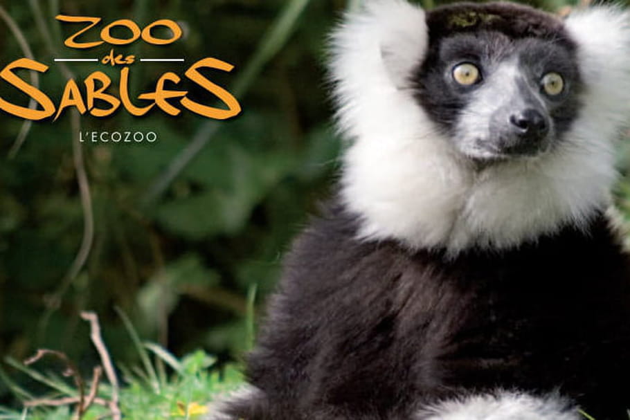Parc Zoologique des Sables-d'Olonne : un éco-zoo !