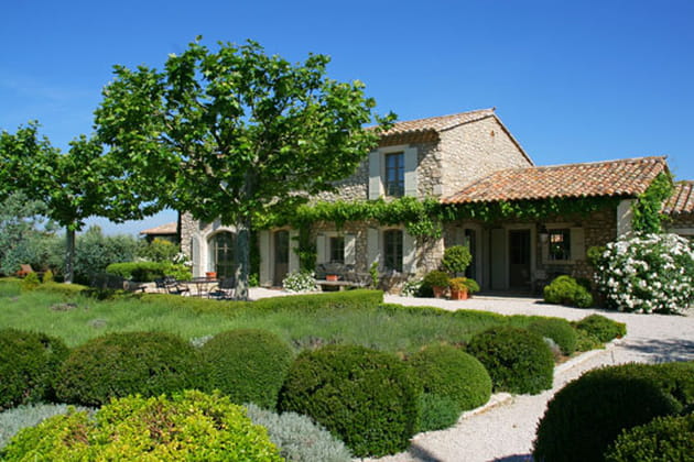 Haies toutes en rondeurs