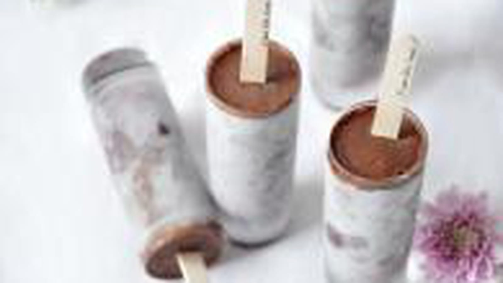 Sorbets myrtilles chocolat noir