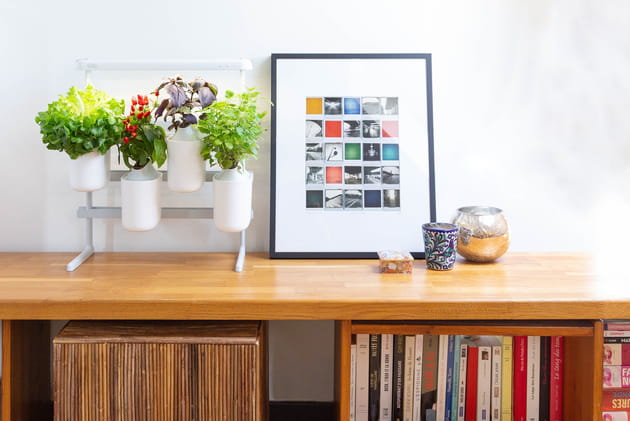 Un potager Modulo de Pr&ecirc;t &agrave; Pousser