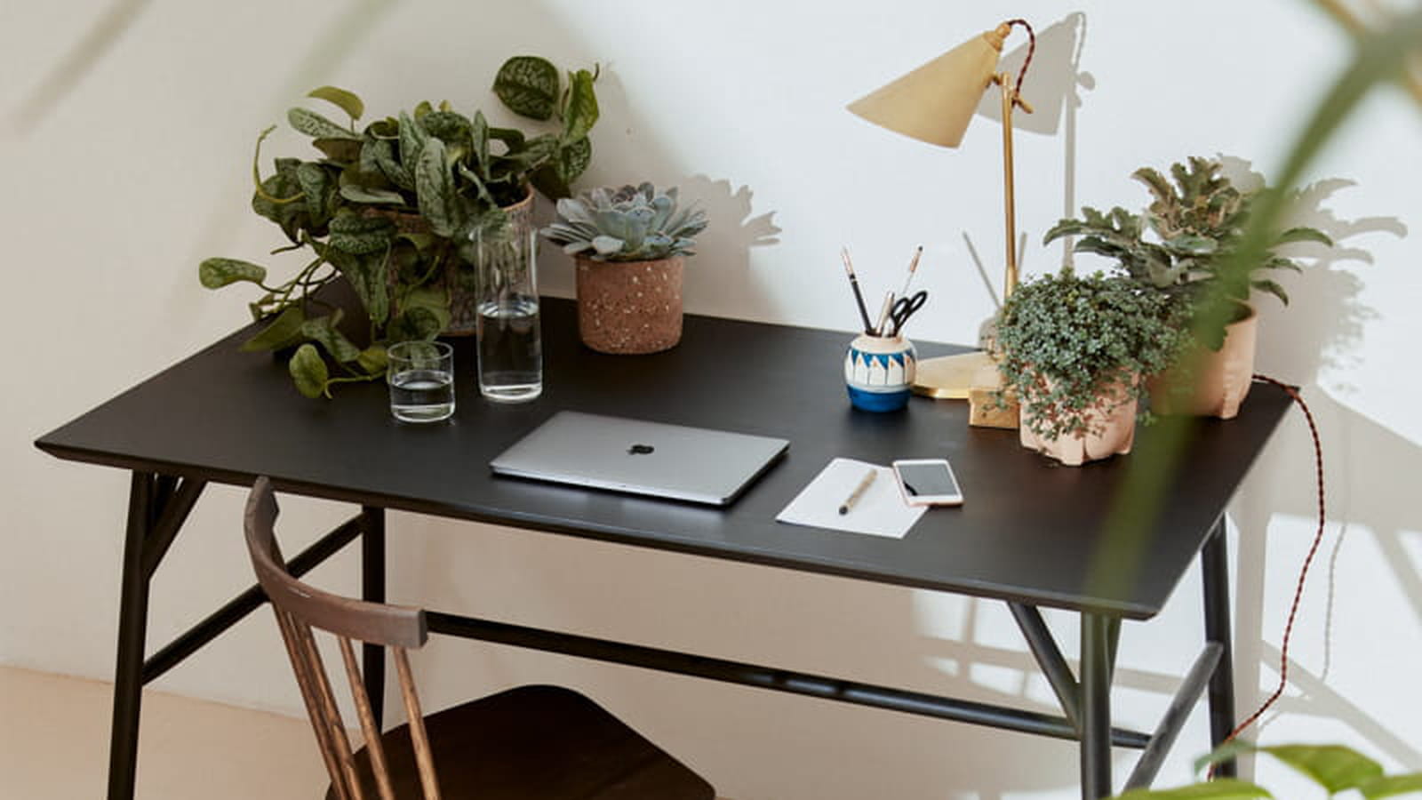 Plantes pour bureau à la maison