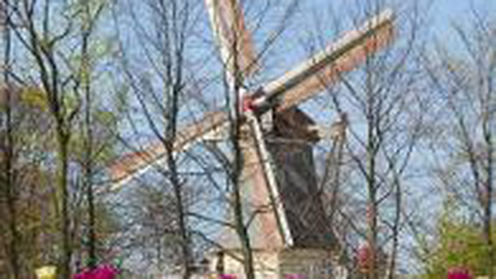 Moulin de Keukenhof