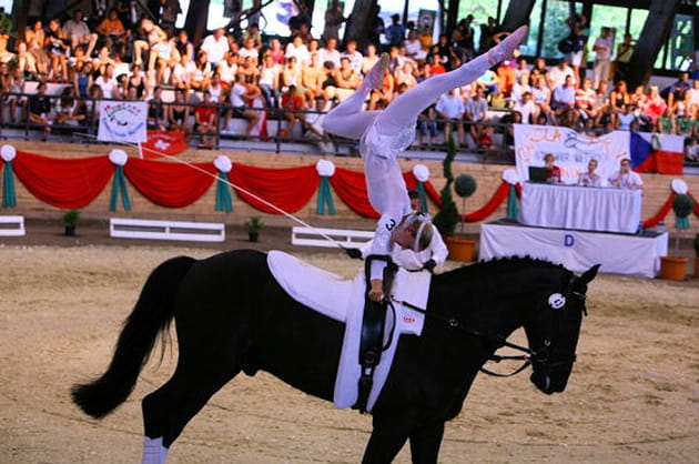 Des qualit&eacute;s recherch&eacute;es