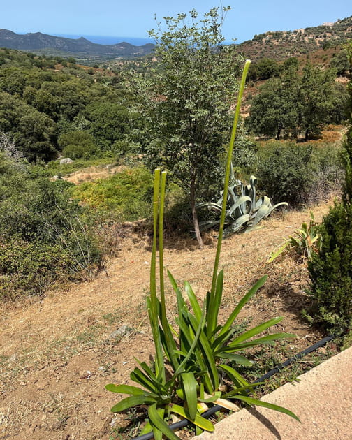 Un grand jardin à entretenir