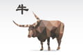 Horoscope Buffle du jour