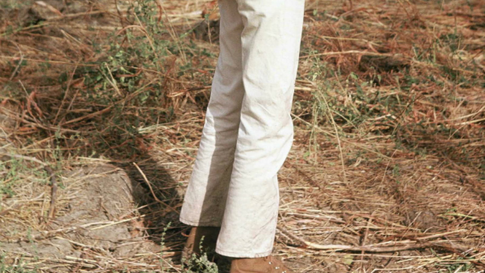 Mireille Darc