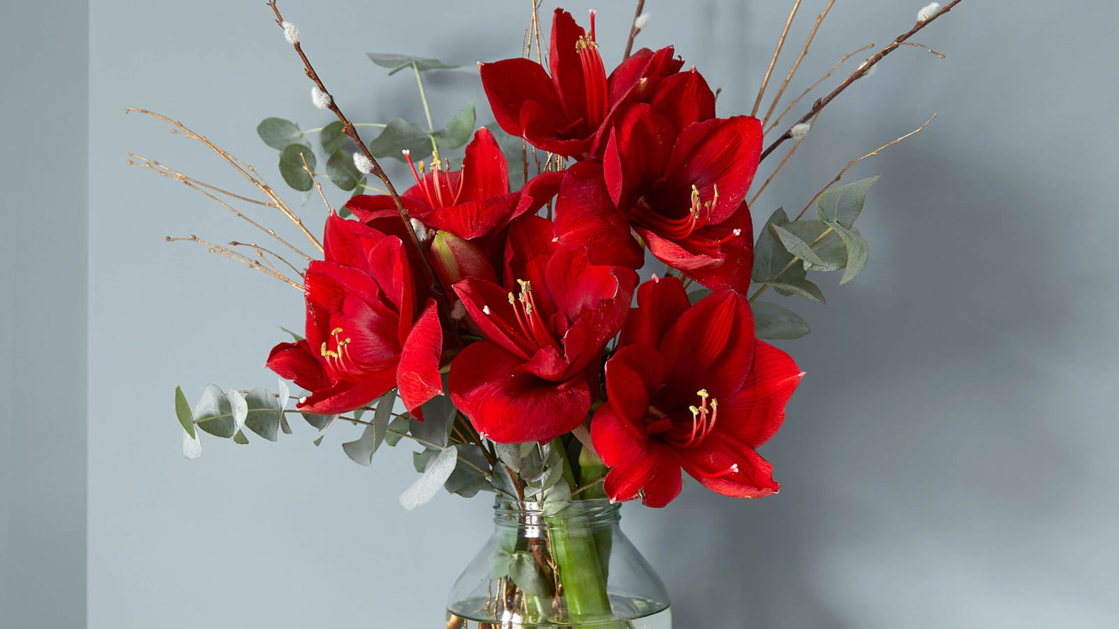 Bouquet d'amaryllis
