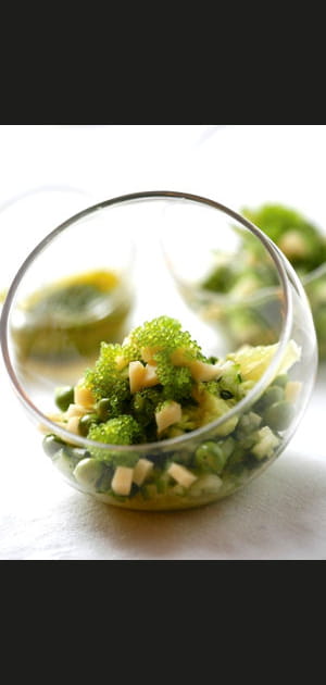 Verrine avocat petits pois concombre emmental