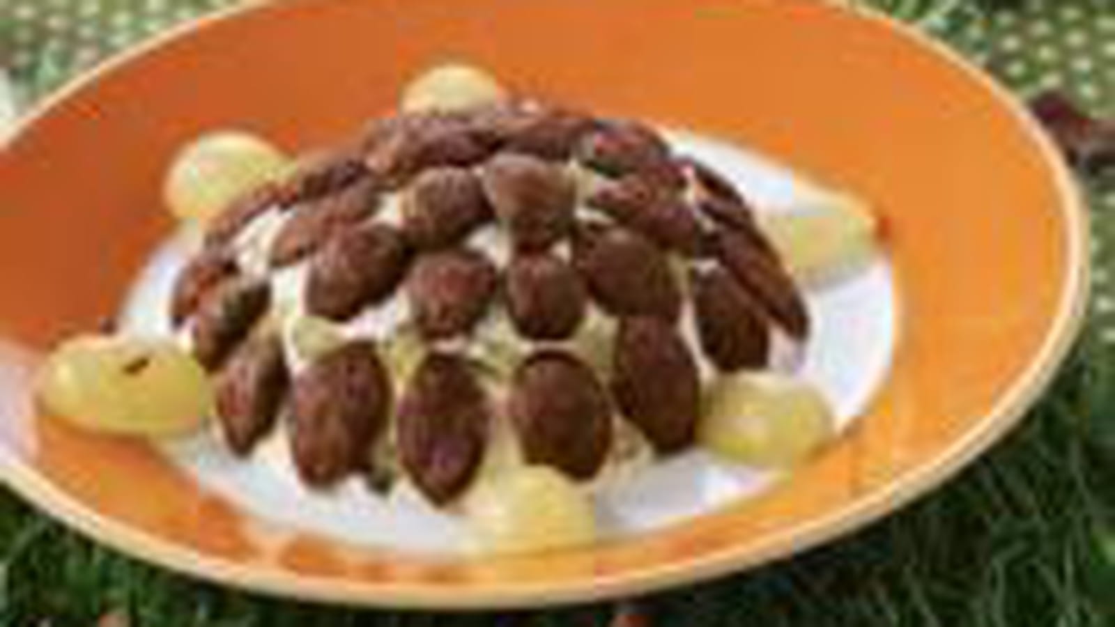 Yaourt "tortue" croutsillant et chocolaté