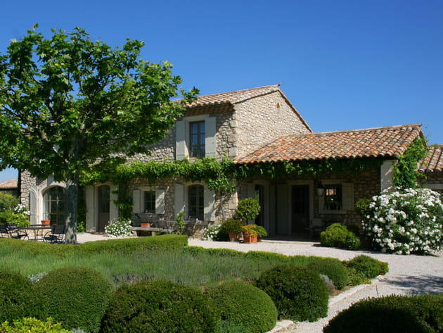 Une frise de vigne vierge