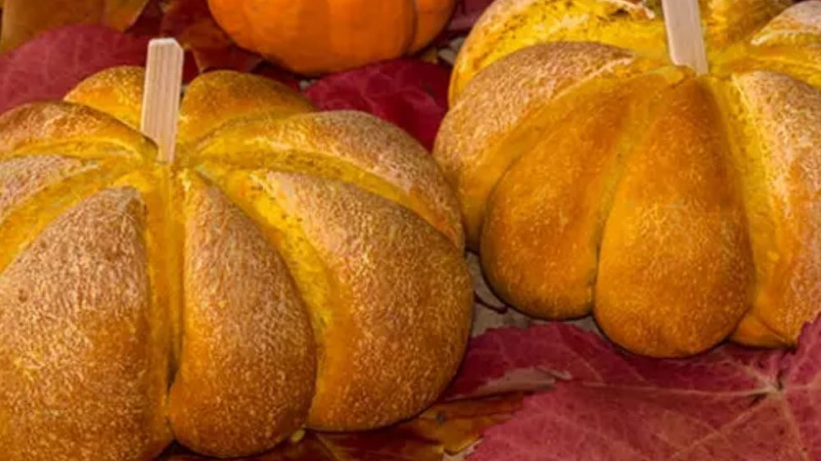 Pain citrouille ou Pumpkin bread
