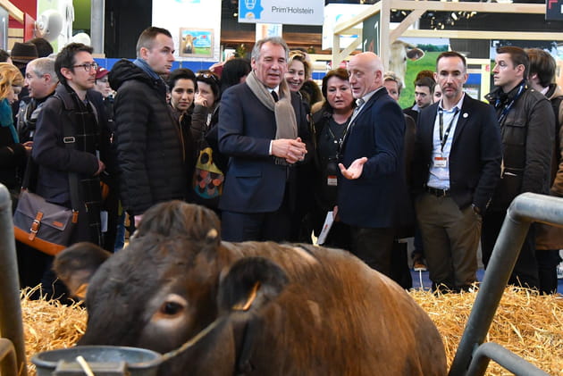 François Bayrou préfère se tenir éloigné des ruminants