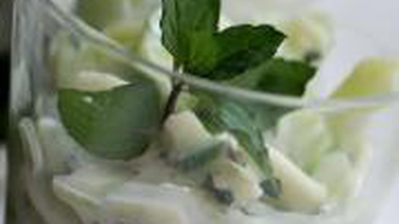 Tzaziki concombre menthe