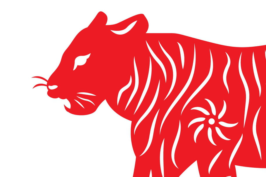 Signe Chinois Tigre Compatibilit