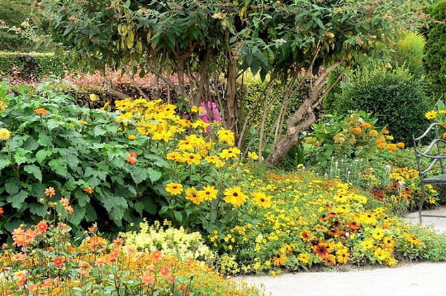 Somptueux parterre de fleurs