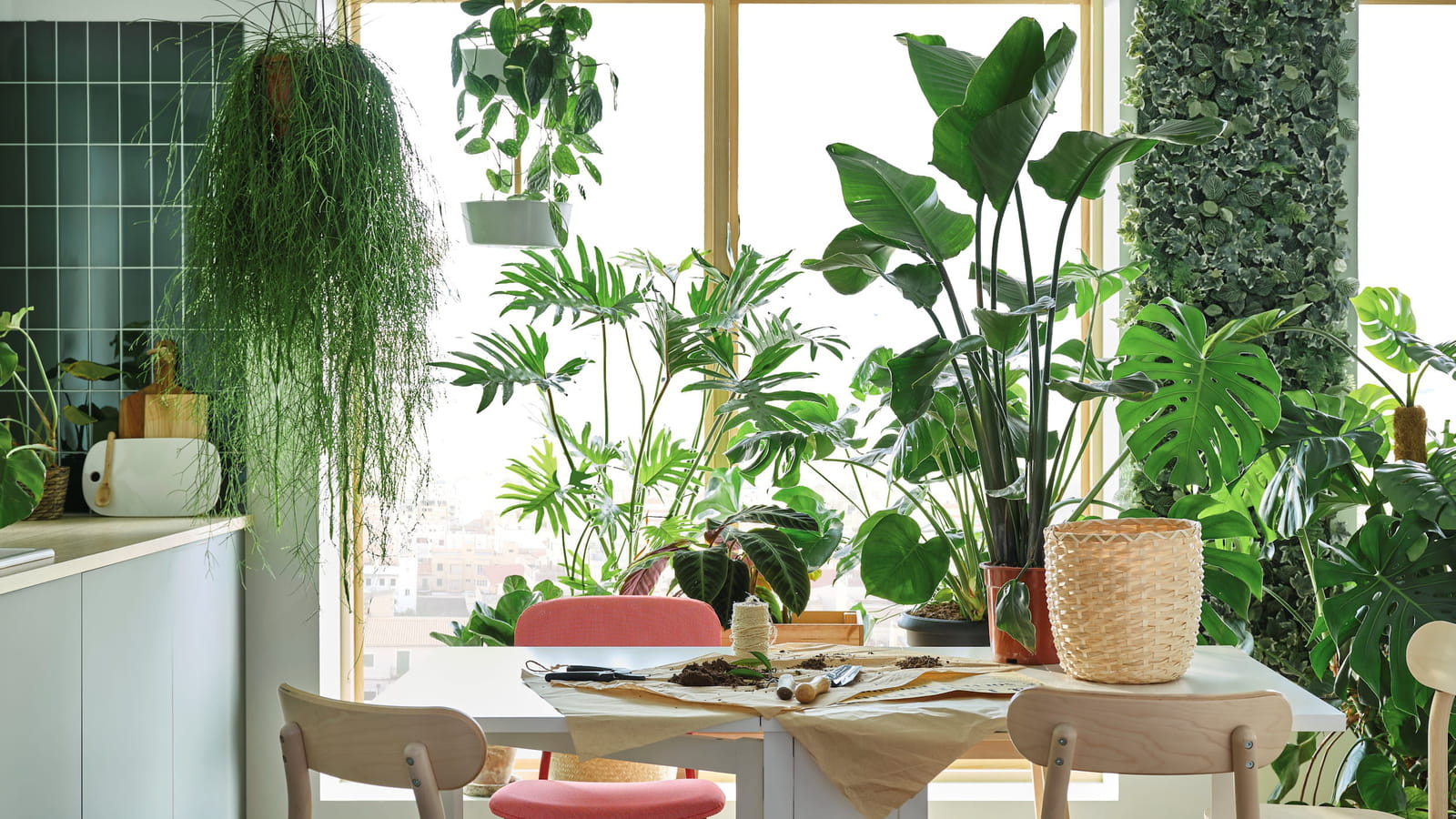 Déco green 