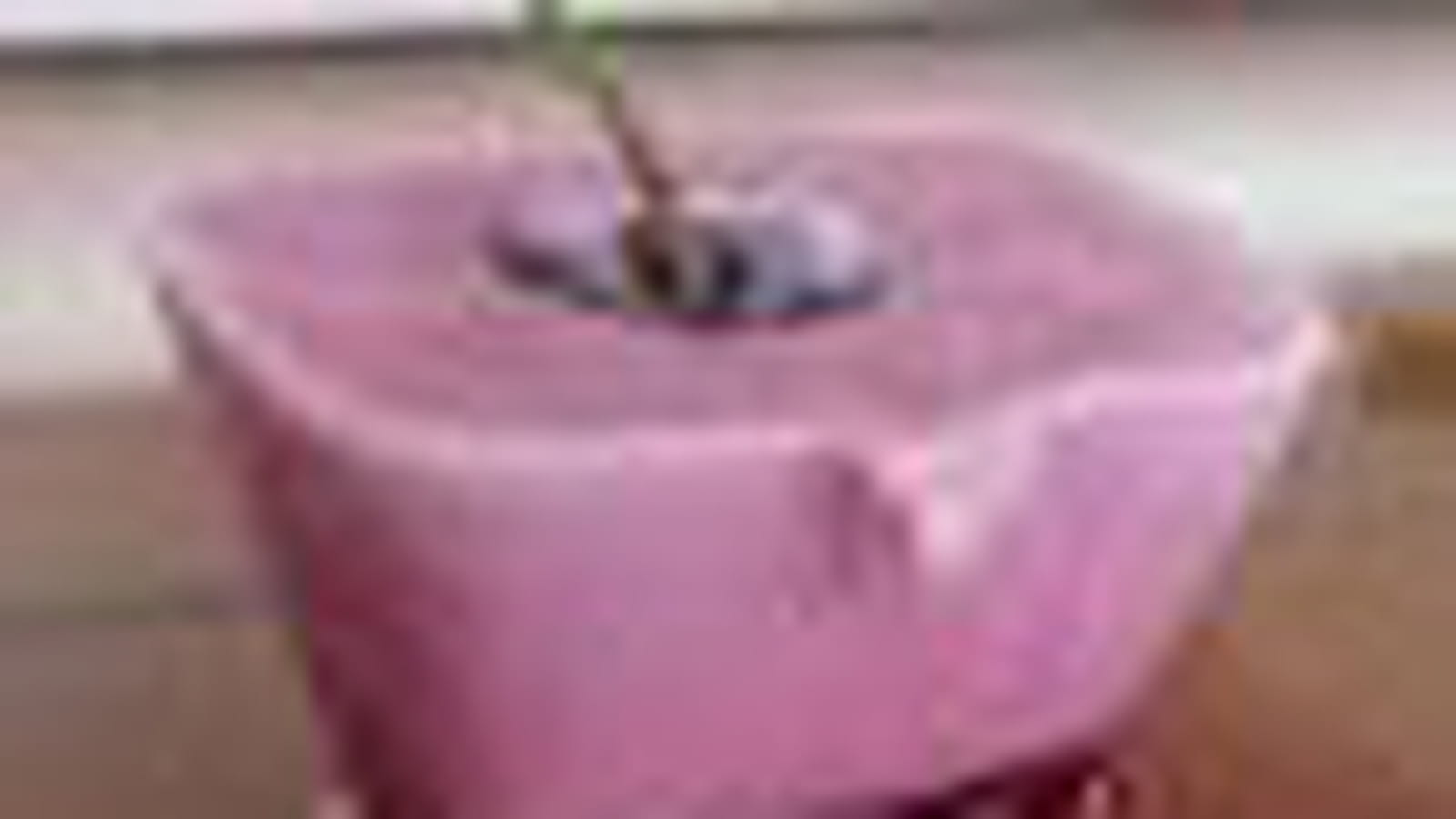 Cerise