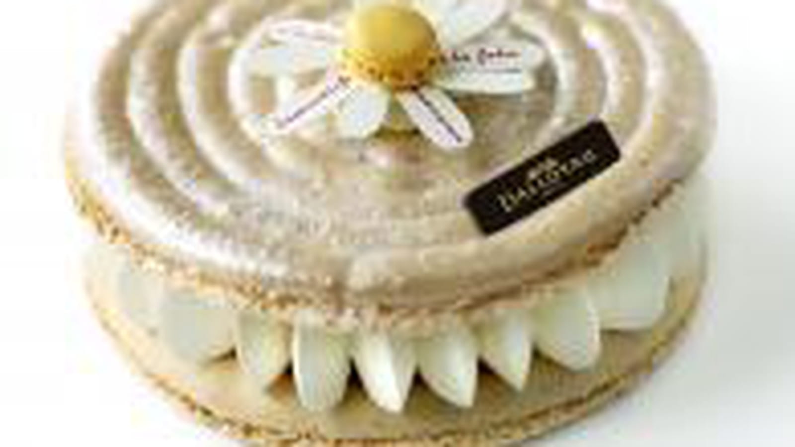 Le Macaron du Bonheur