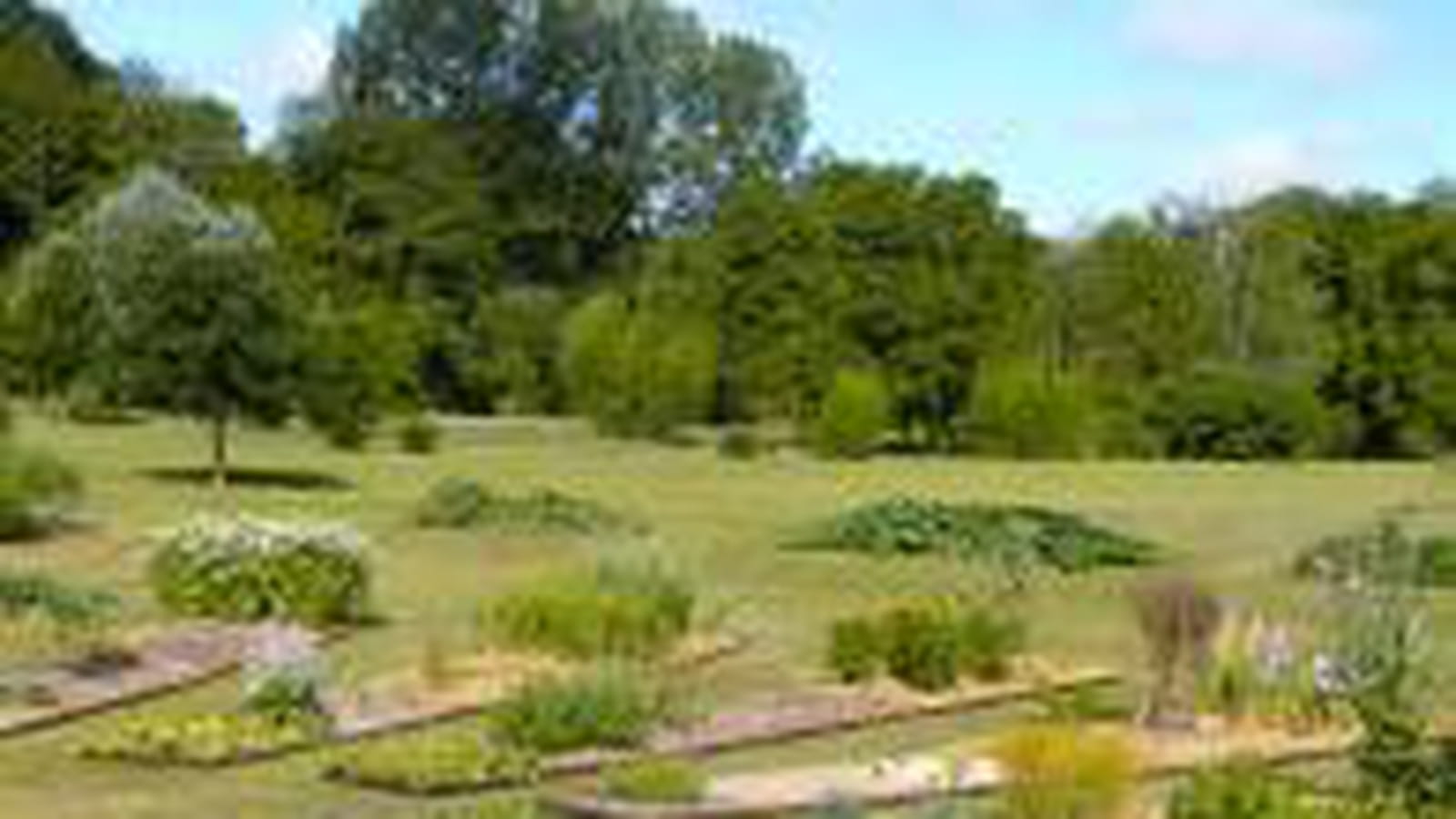 Catégorie "Jardin potager innovant"