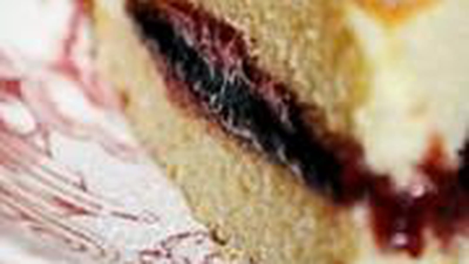 Gâteau léger et moelleux
