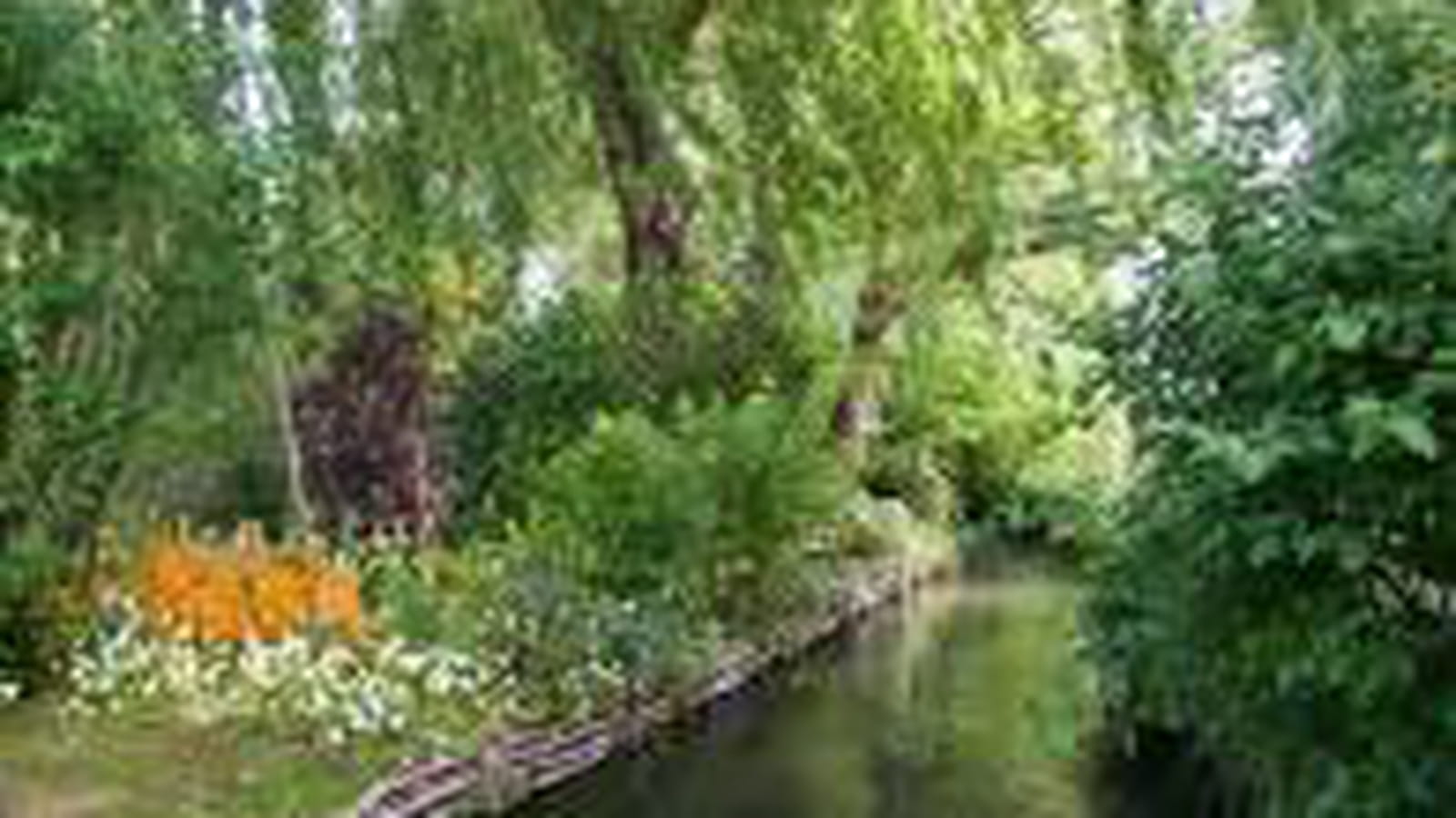 Jardin d'eau