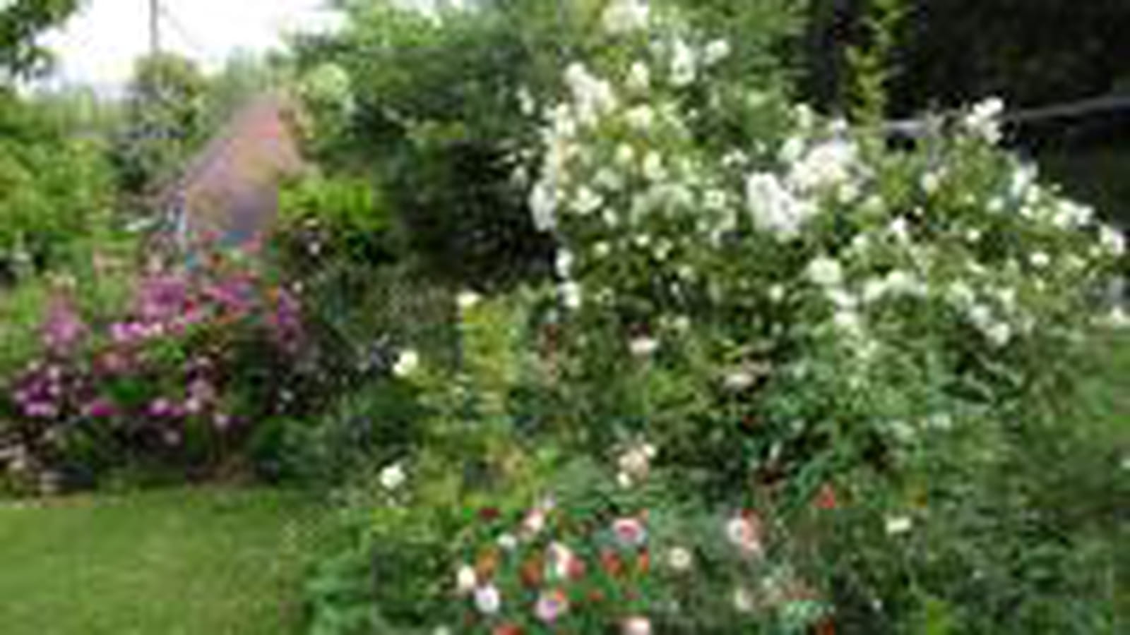Jardin de Michelle