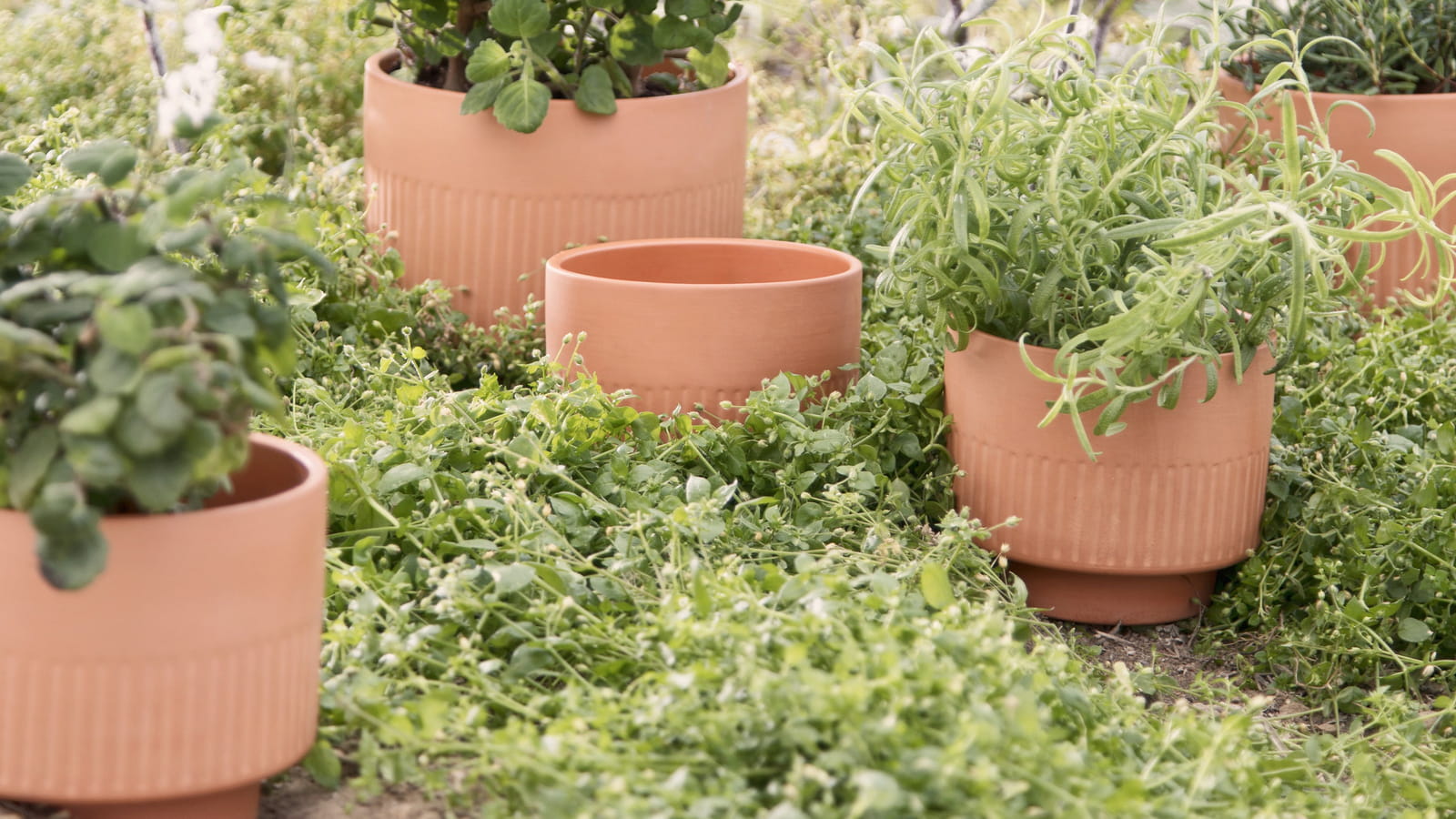 Pot en terracotta Sostrene Grene