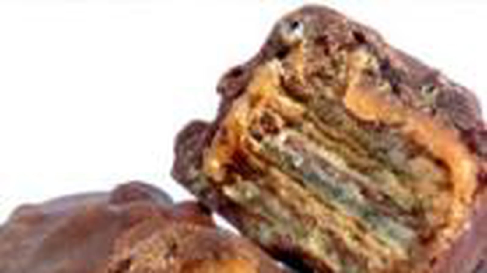 Barres chocolatées Lion 