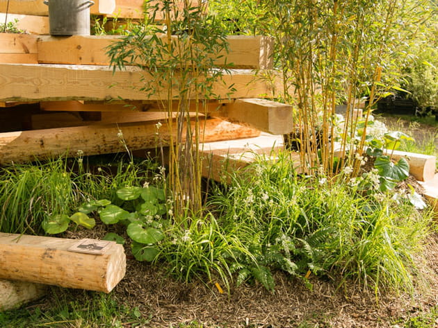 Le jardin m&egrave;re