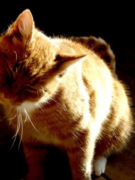 Entrer dans la lumi&egrave;re