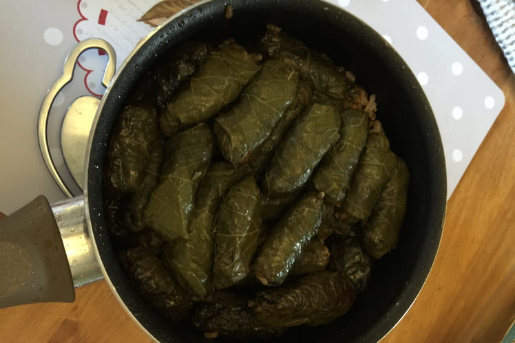 Recette de Feuilles de vignes farcies