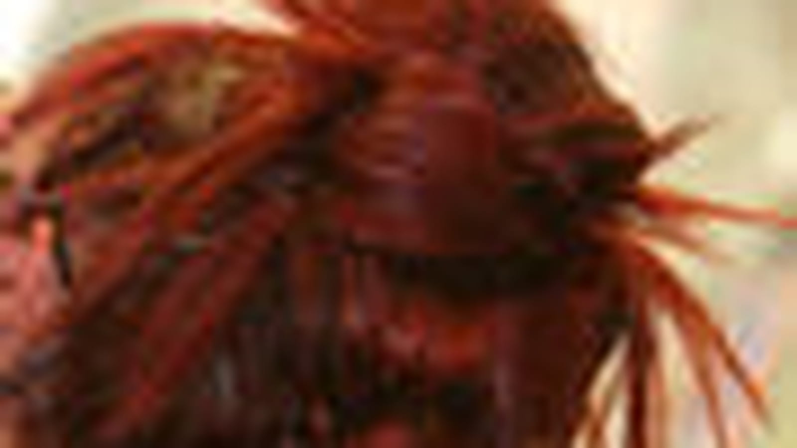 La coiffure