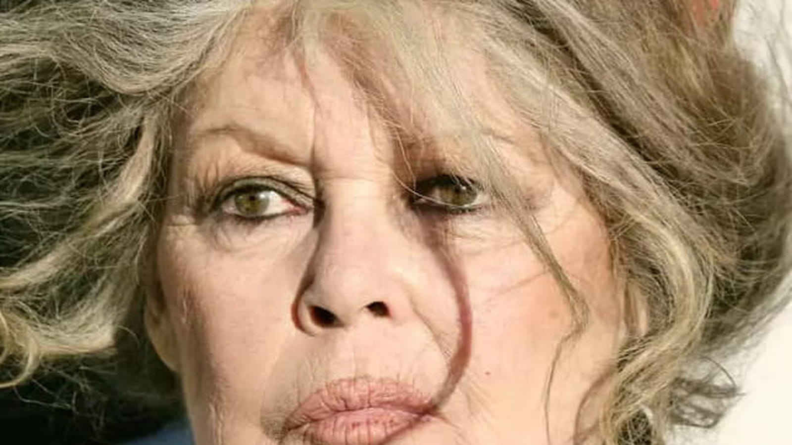 Brigitte Bardot