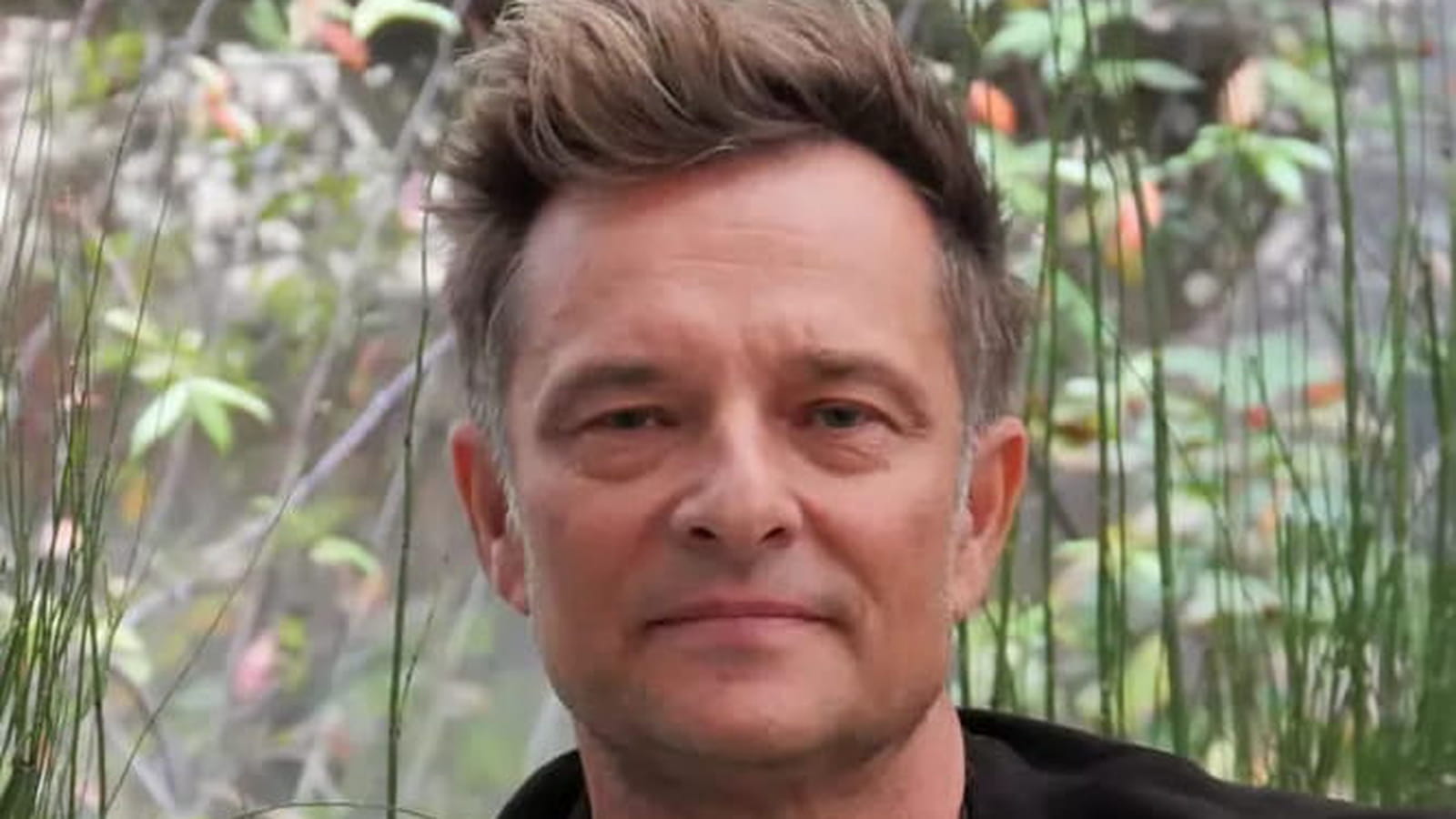 David Hallyday
