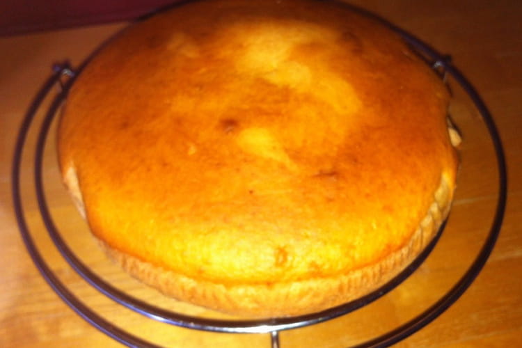 Gateau Au Yaourt Sans Sucre