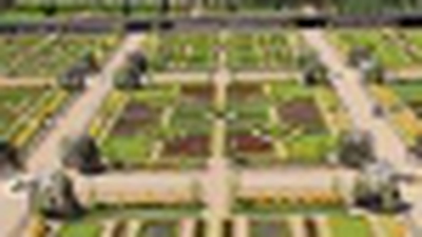 Potager