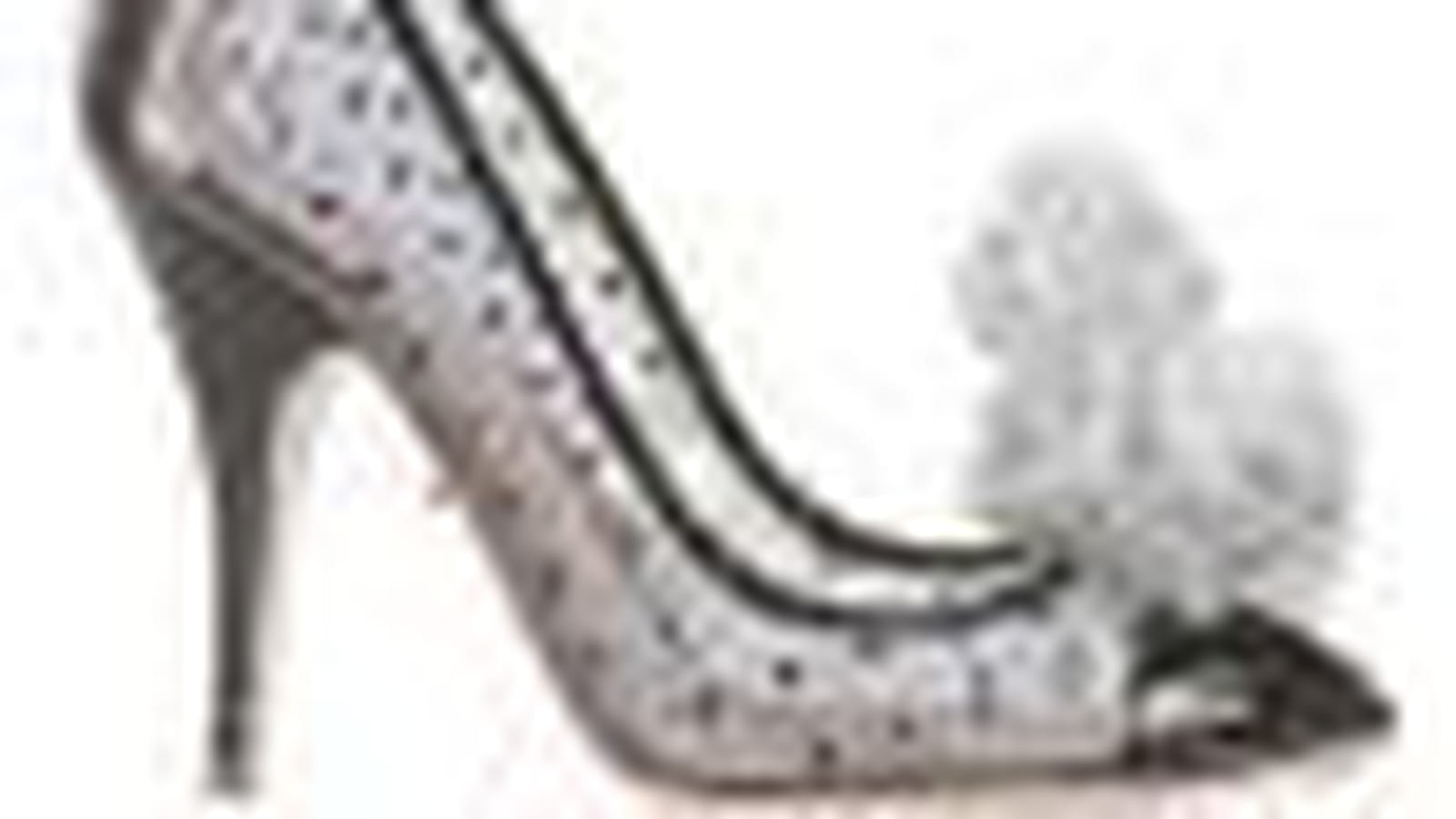 Les escarpins de Sonia Rykiel