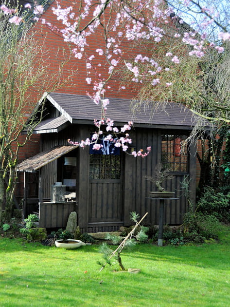 Ces cabanes au fond du jardin