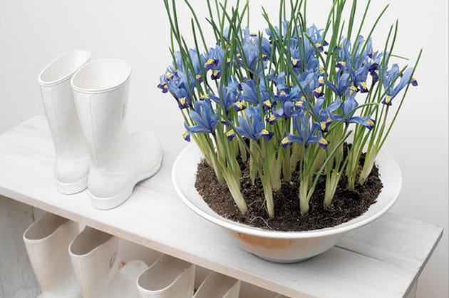 Cr&eacute;ez l'atmosph&egrave;re