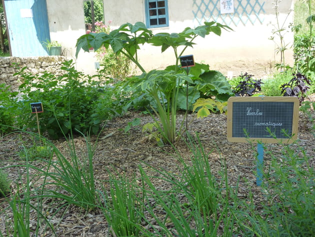 Un jardin aromatique