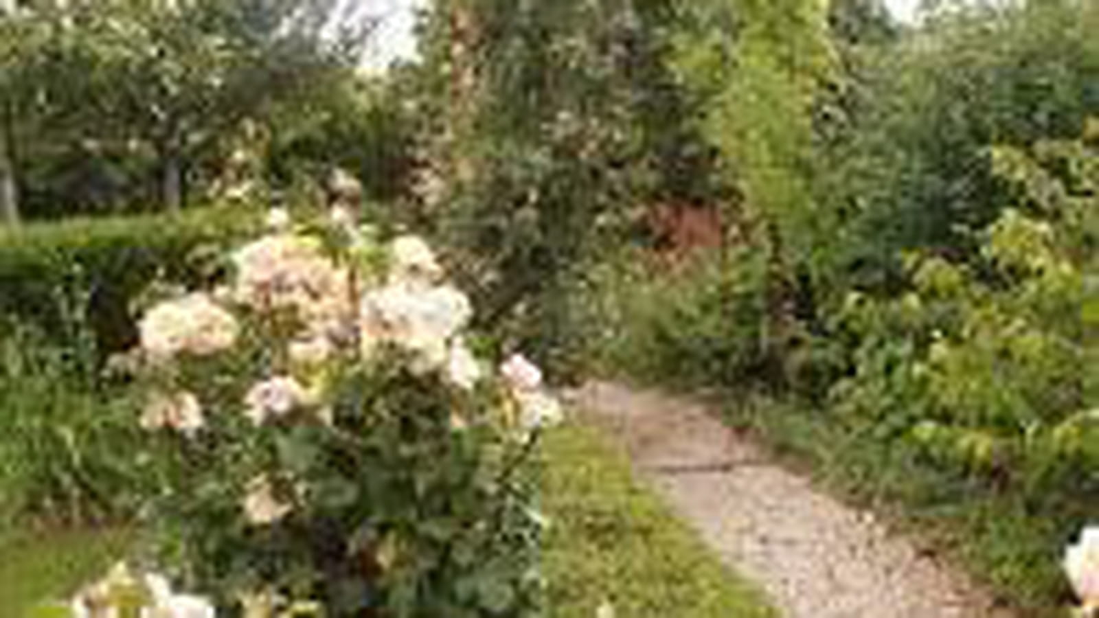 Rosier Chimène