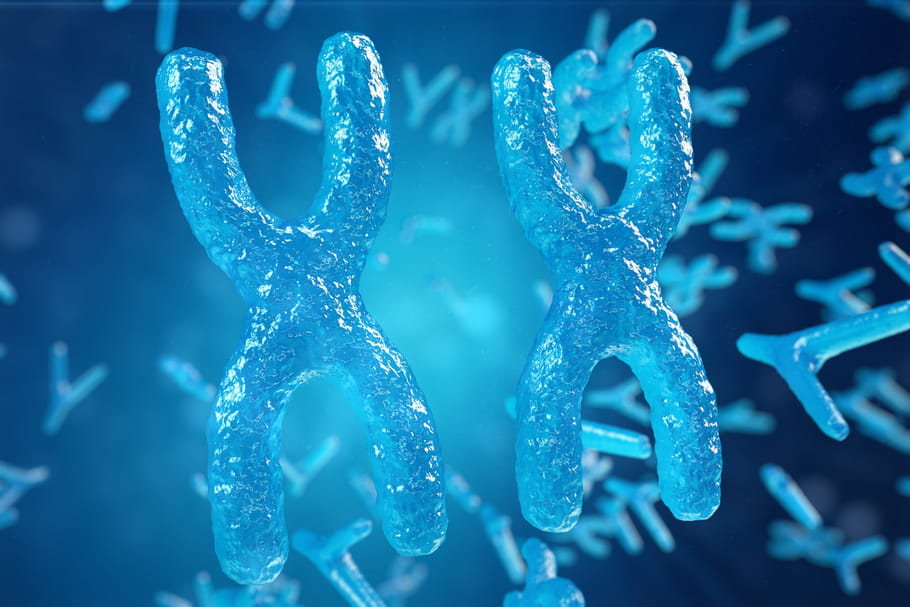 Syndrome triple X : symptômes, types d'anomalies, traitement