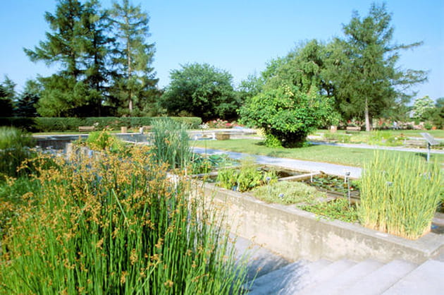 Le Jardin aquatique
