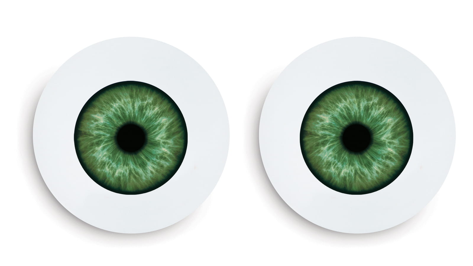 Duo d'assiettes Iris Pied de Poule