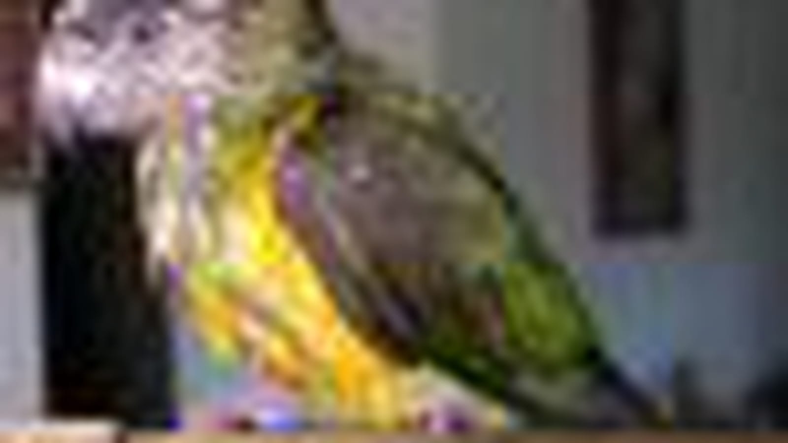 Tiki