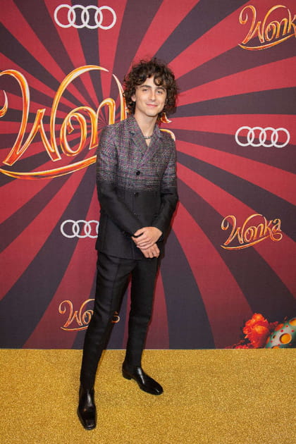 Timothée Chalamet en costume bicolore