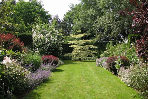 Les magnifiques vivaces des jardins du Botrain