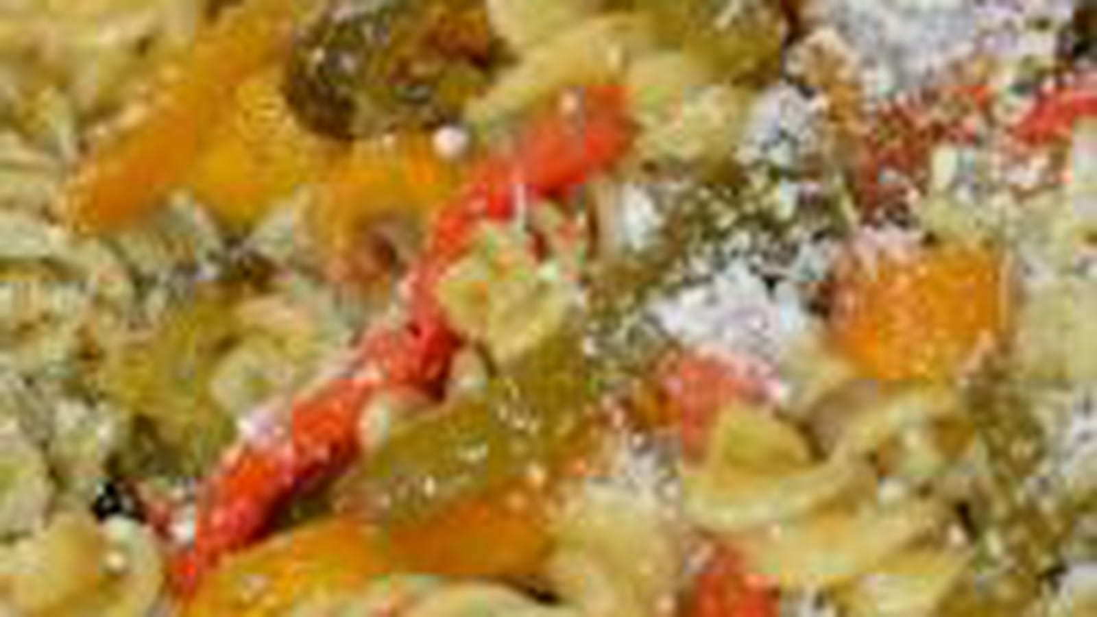 Salade de pâtes poivrons